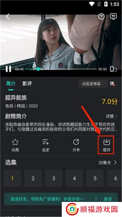 海鸥影评下载