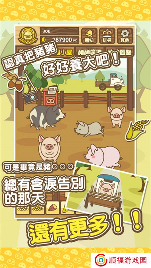 ‌养猪场MIX最新版