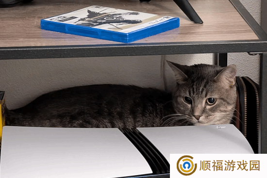 本站