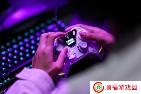 本站