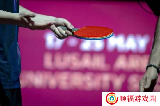 职业球手谈王楚钦球拍再遭意外：或因裁判好奇