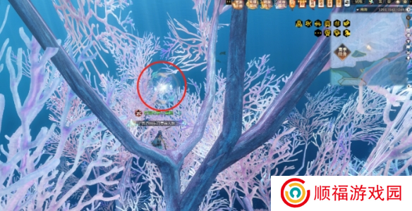 《逆水寒》2.0第六章鳞波珠位置攻略