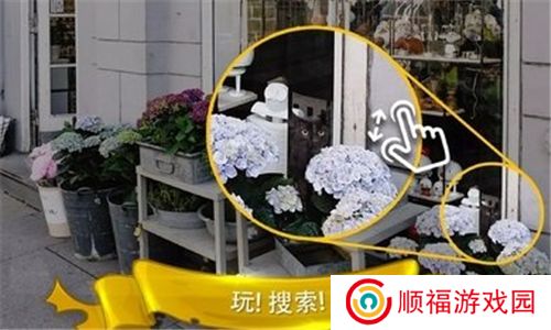 寻找猫隐藏对象3游戏