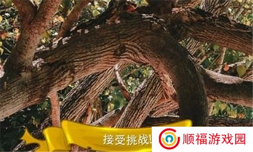 寻找猫隐藏对象3游戏